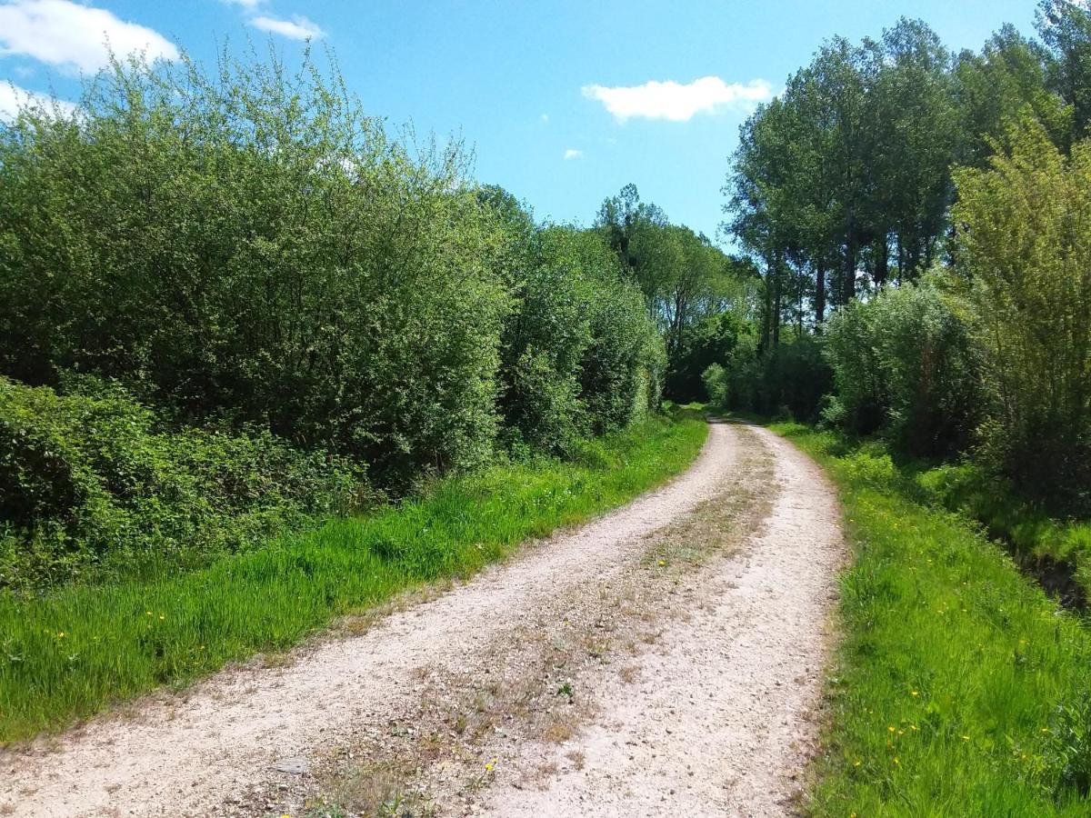 Petite Maison Normande Bellou-en-Houlme Dış mekan fotoğraf